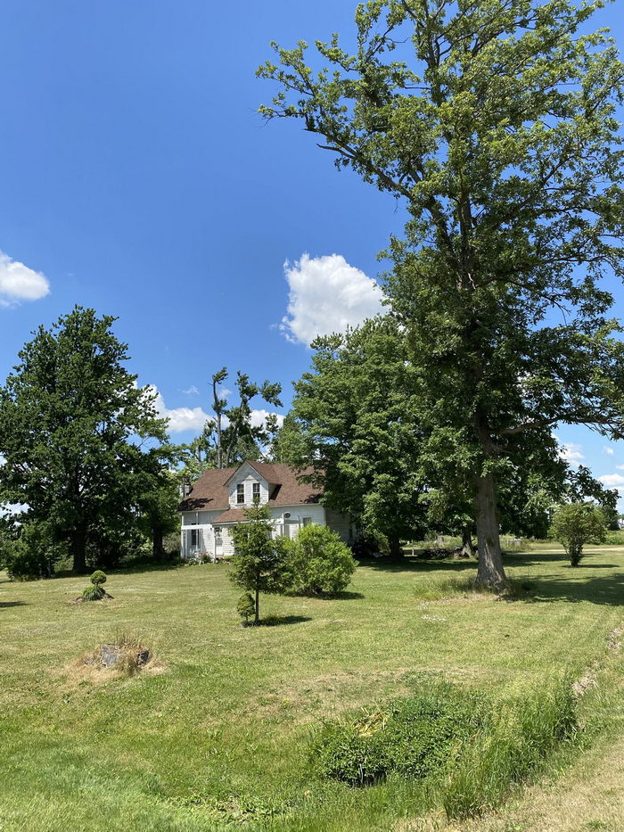 Juhl - June 2017 Photo (newer photo)